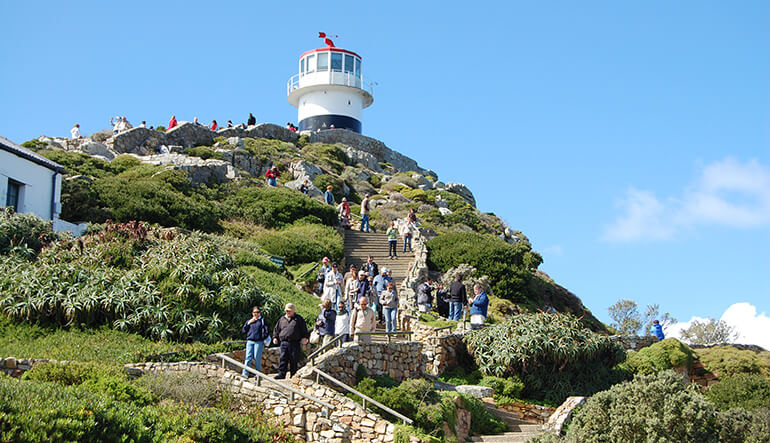 Cape Point, A Whale, & The Best Kombi Ride Ever